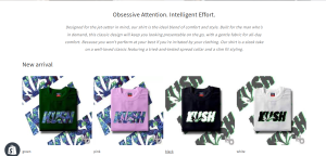 screenshot from 2022 11 20 15 42 17